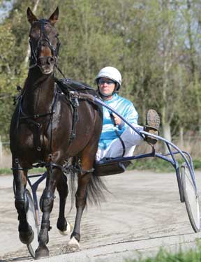 Zilco Racing Harness