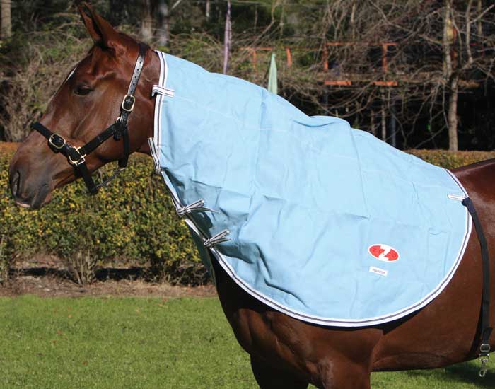 Stable Rug For Cobs Zilco International Pty Ltd | Hamilton Neck Rug - Cob