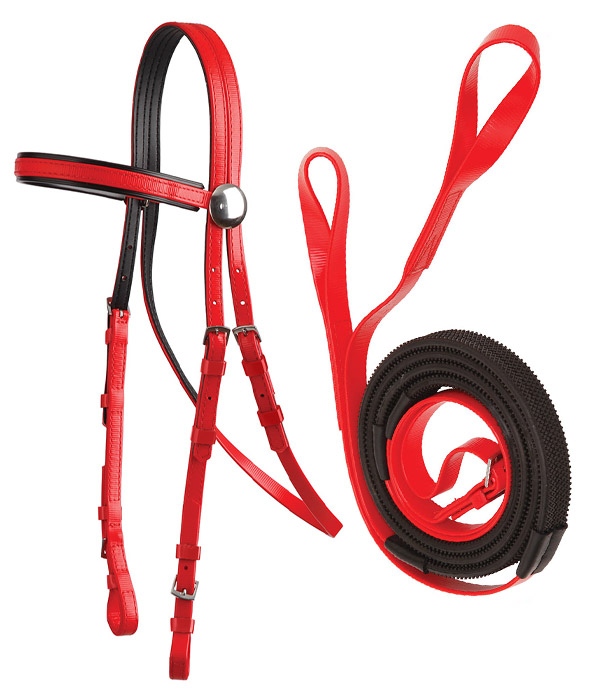 Zilco International Pty Ltd Race Bridle/Loop End Reins Red/Black